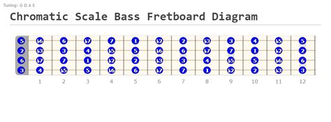 7 Best Jazz Bass Scales To Use