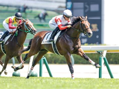 【デイリー杯2歳s出走馬・騎手確定】ダノンキラウェアand川田将雅騎手、ジャンタルマンタルand鮫島克駿騎手など11頭 競馬ニュース Netkeiba