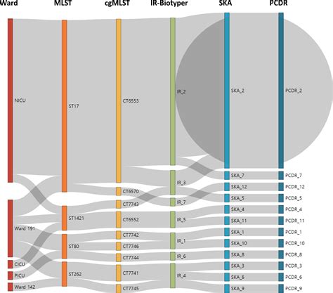 Comparative Analysis Of Ir Biotyper Mlst Cgmlst And Wgs For