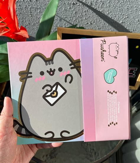 ORGANIZADOR SEMANAL PUSHEEN Valper Store