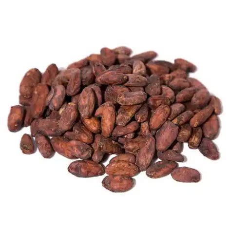 100 Premium Organic Cocoa Beans Online Raw Dried Criollo Green Cacao