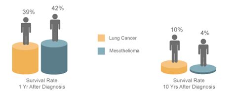 Mesothelioma And Lung Cancer Differences In Development Diagnoses And Treatment