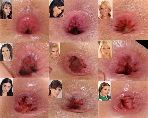 A Collage Pf Porn Star Assholes Can Anyone Name Them Porn Pic Eporner