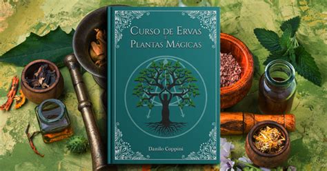 Livro Curso De Ervas E Plantas M Gicas Catarse