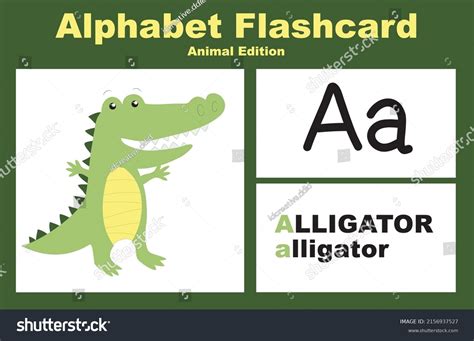 Printable Alphabet Animal Flashcards Collection Learning Stock Vector