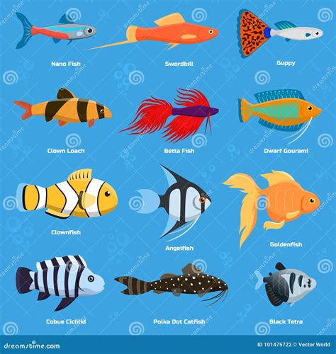 Aquarium and Ocean Fish Breeds Underwater Bowl Tropical Aquatic Animals ...