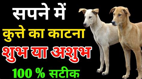 Sapne Me Kutte Ka Katna Seeing Dog Bite In Dream Kutte Ka Sapne Me