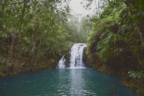 Three Belize Jungle Resorts With The Most Romantic Picnic Spots