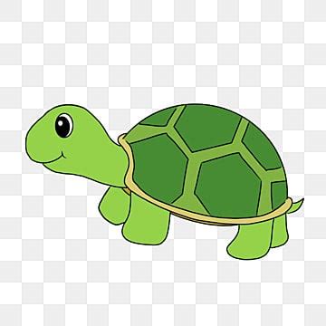 Cartoon Tortoise PNG Transparent Images Free Download | Vector Files ...