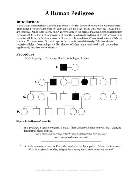 Pedigree Charts Worksheet With Answers Printable Computer Tools