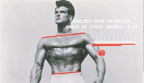 How To Get Broader Shouldersthe Complete Guide Outlive