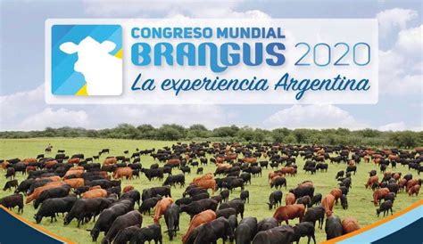 Congreso Mundial Brangus Se Hará En Argentina Actualidad Ganadera