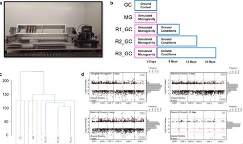 Figure 1 From Transcriptomic Signature Of The Simulated Microgravity