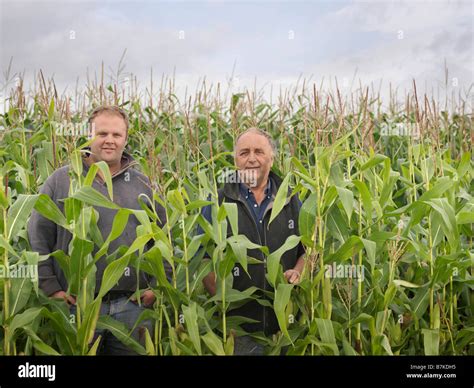 Farmers Working In The Field High Resolution Stock Photography And