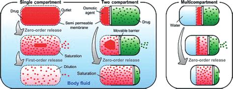 Osmotic Drug Delivery System Download Scientific Diagram