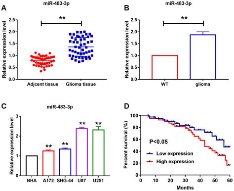 Transcriptional Regulation Of Mir P Mediated By Il Stat Axis