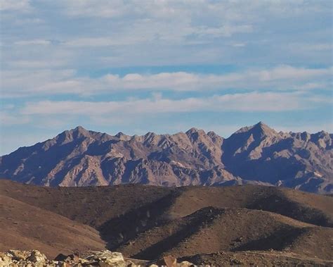 Beautiful Sonoran desert landscape.