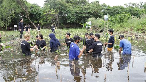 Di Bulan Kasih Sayang Derma Express Menanam Bibit Mangrove