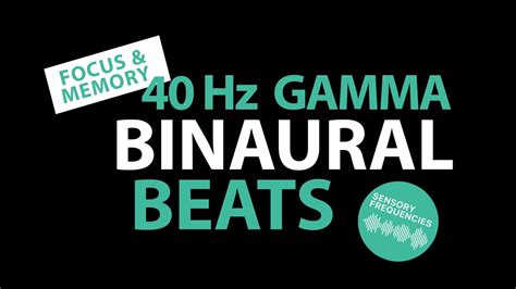 Hz Gamma Binaural Beats Hours Focus Concentration Memory And