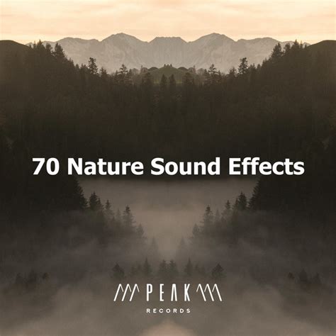 70 Nature Sound Effects Album By Nature Sounds Spotify