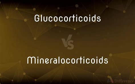 Glucocorticoids Vs Mineralocorticoids — Whats The Difference