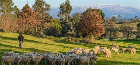 Agroturismo Serra Empreendimento Tur Stico