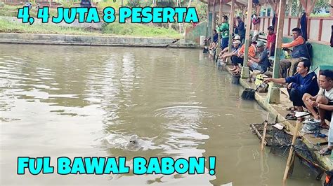 Semua Gak Nyangkakolam Bekas Pemancingan Ikan Mas Ternyata Di Huni