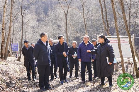 国家林草局国际合作交流中心项目主管调研小陇山联合国森林文书履约试点工作 科技教育宣传处 甘肃省小陇山林业保护中心官方网站