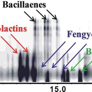 Hplc Dad Ms Analysis Of Secondary Metabolites Produced By Bacillus