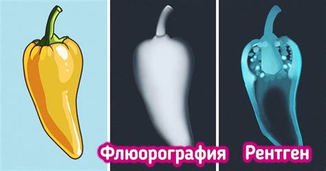 В чем разница между рентгеном и флюорографией / Бери и делай