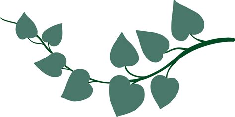 Simplicity Ivy Freehand Drawing Flat Design Png