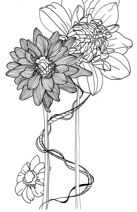 Flower Line Drawing Clip Art Free At Getdrawings Free Download