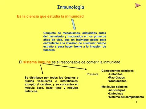 Ppt Inmunología Powerpoint Presentation Free Download Id 872743