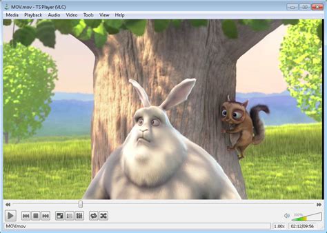 Torrent Stream - Download