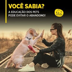 10 de agosto Dia do Protetor de Animais Cão Cidadão