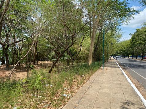 Polícia Identifica Jovem Encontrado Morto Na Avenida Maranhão Em Teresina