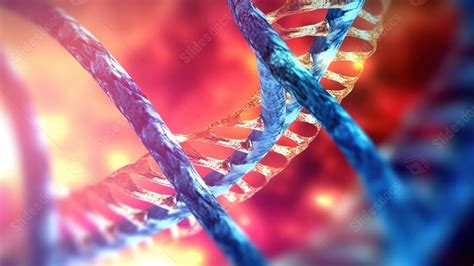 Visualizing Dna Genetic Structures Through D Illustration Of Molecular