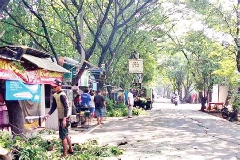 Warga Kota Tangerang Korban Pohon Tumbang Bisa Klaim Asuransi Ini