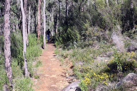 Kittys Gorge Serpentine Np Jarrahdale Trails Wa Trails Wa