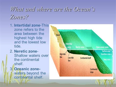 Oceans Zones Ecosystems And Resources Oceans Zones Ecosystems And