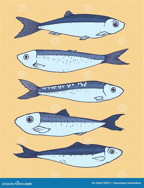 Vector Set Of Blue Sardines Hand Drawn Sketch Style Collection Of