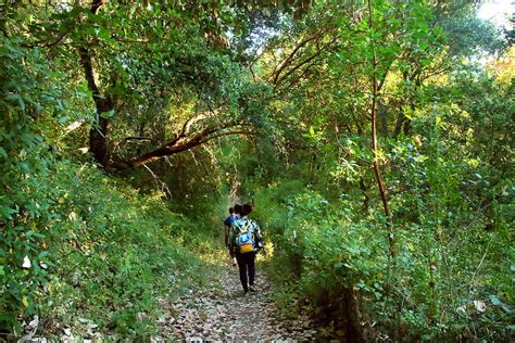 Hike to Fremont Peak in Santa Cruz- Hidden CA