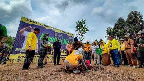 Hari Menanam Pohon 2022 Pemprov Kalsel Tanam 4 000 Bibit Pohon Di