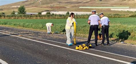 Noiembrie Ziua Comemor Rii Victimele Din Accidente Rutiere Cazuri