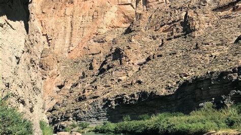 Kesha Nude Sexy Collection Photos OnlyFans Leaked Nudes