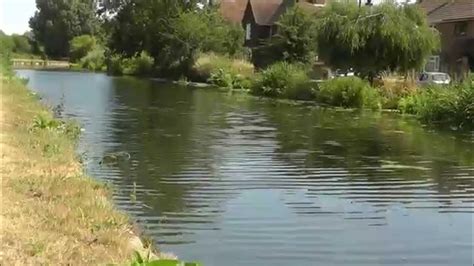 Life Around Enfield Lock And The River Lea Youtube