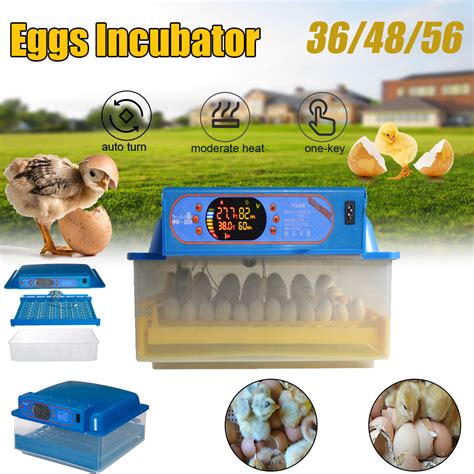 New 220V 36 48 56 Egg Incubator Digital Fully Automatic Chicken