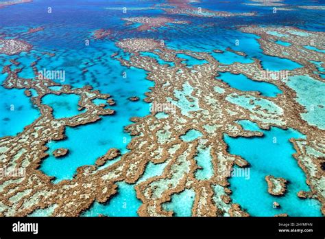 Great Barrier Reef, aerial view, Australia Stock Photo - Alamy