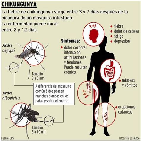 La Fiebre Chikungunya