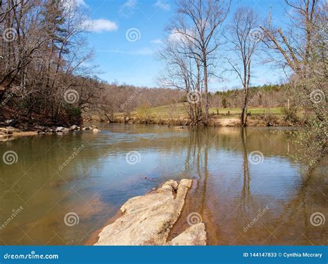 Mayo River At Mayo River State Park Stock Image Image Of Park Hike